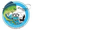 Pura Fishing