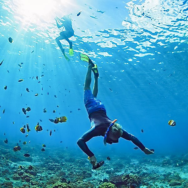 Snorkeling in coral reefs
